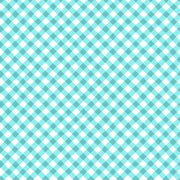 Sippin On Sunshine Bias Gingham Aqua Blue