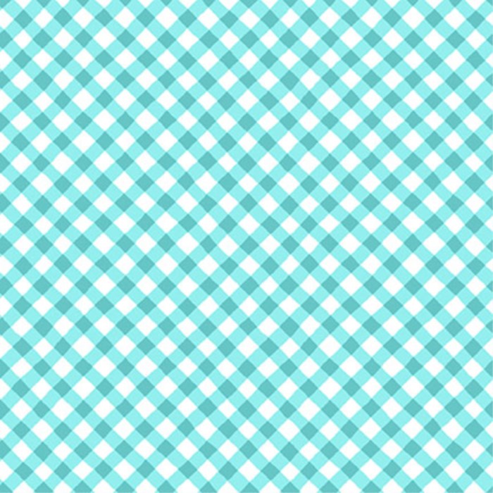 FQ Sippin On Sunshine Bias Gingham Aqua Blue