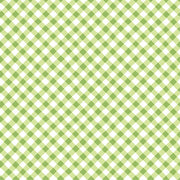 Sippin On Sunshine Bias Gingham Green
