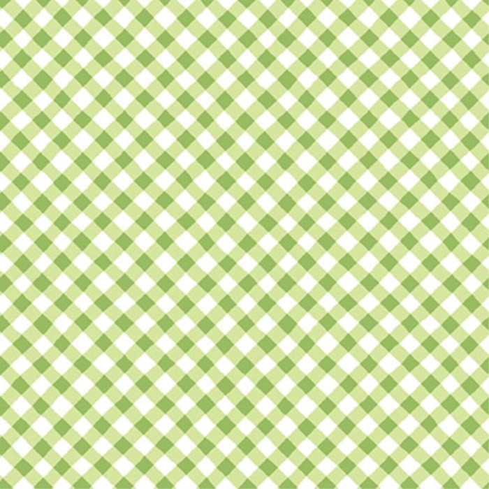 Sippin On Sunshine Bias Gingham Green