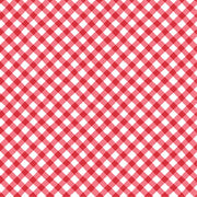 FQ Sippin On Sunshine Bias Gingham Red