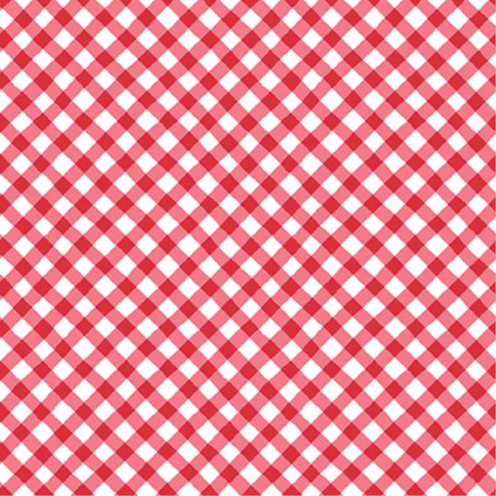 FQ Sippin On Sunshine Bias Gingham Red