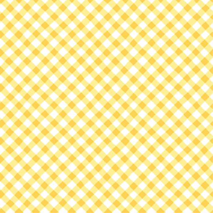 Sippin On Sunshine Bias Gingham Yellow