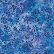 Snowscape Hyacnth