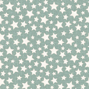 Snowtop Mountain Flannel Star Aqua