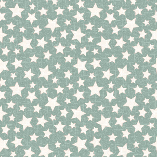 Snowtop Mountain Flannel Star Aqua