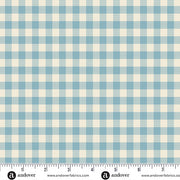 Special Delivery Gingham Chambray