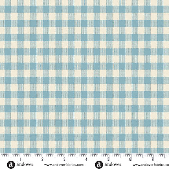 Special Delivery Gingham Chambray