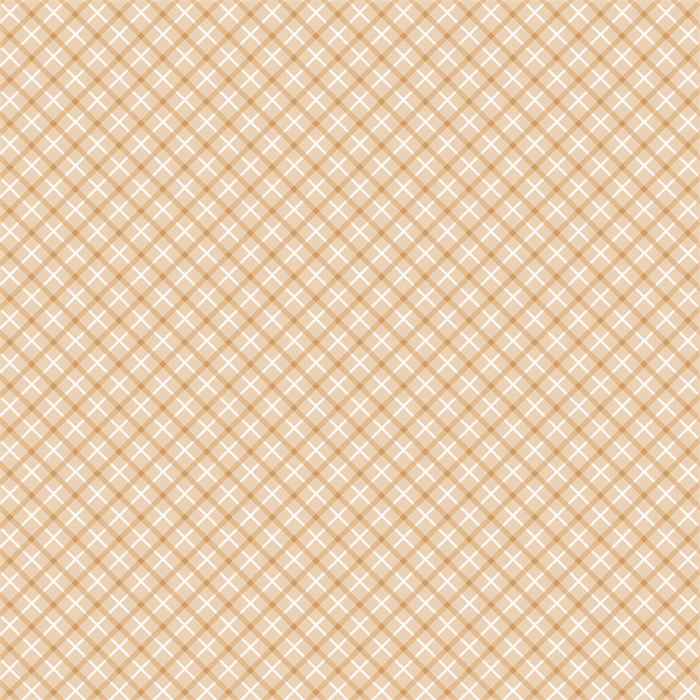 Special Delivery Plaid Brown