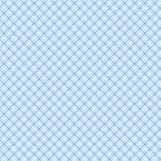 Special Delivery Plaid Blue