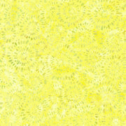 Splash Lemon