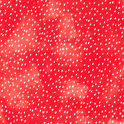 Strawberry Season Strawberry (22318-ABYD-98)
