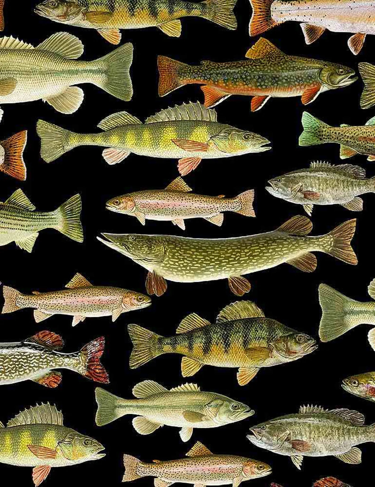 Cabin Rules Fish Black
