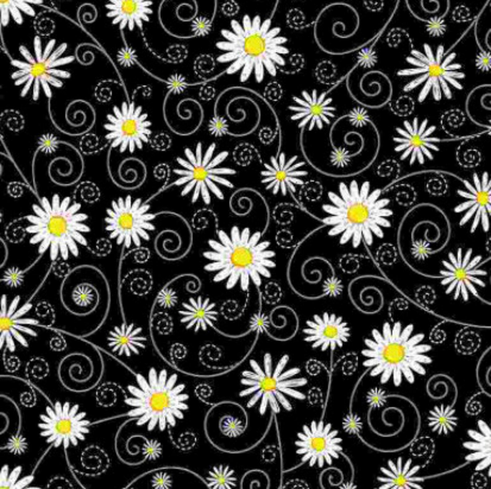 Chalk Daisies on Black