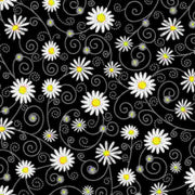 Chalk Daisies on Black