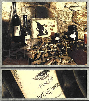 The Witch Is In - 2013
