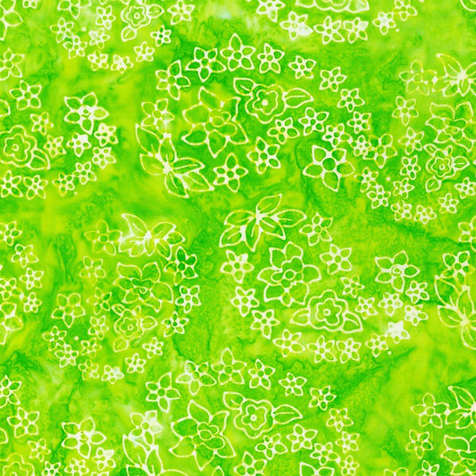 Totally Tropical Kiwi