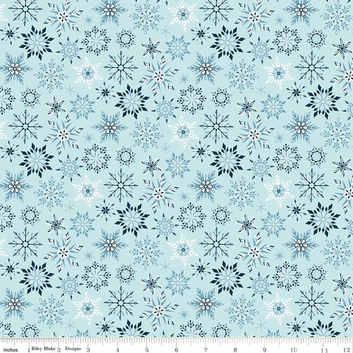 Winter Magic Snowflakes Aqua