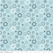 Winter Magic Snowflakes Aqua