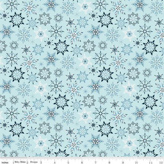 Winter Magic Snowflakes Aqua