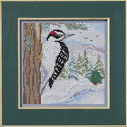 Mill Hill Winter Woodpecker (2024)