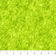 FQ Acid Wash Pistachio (2015-72)