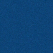 Phosphor 21 Midnight