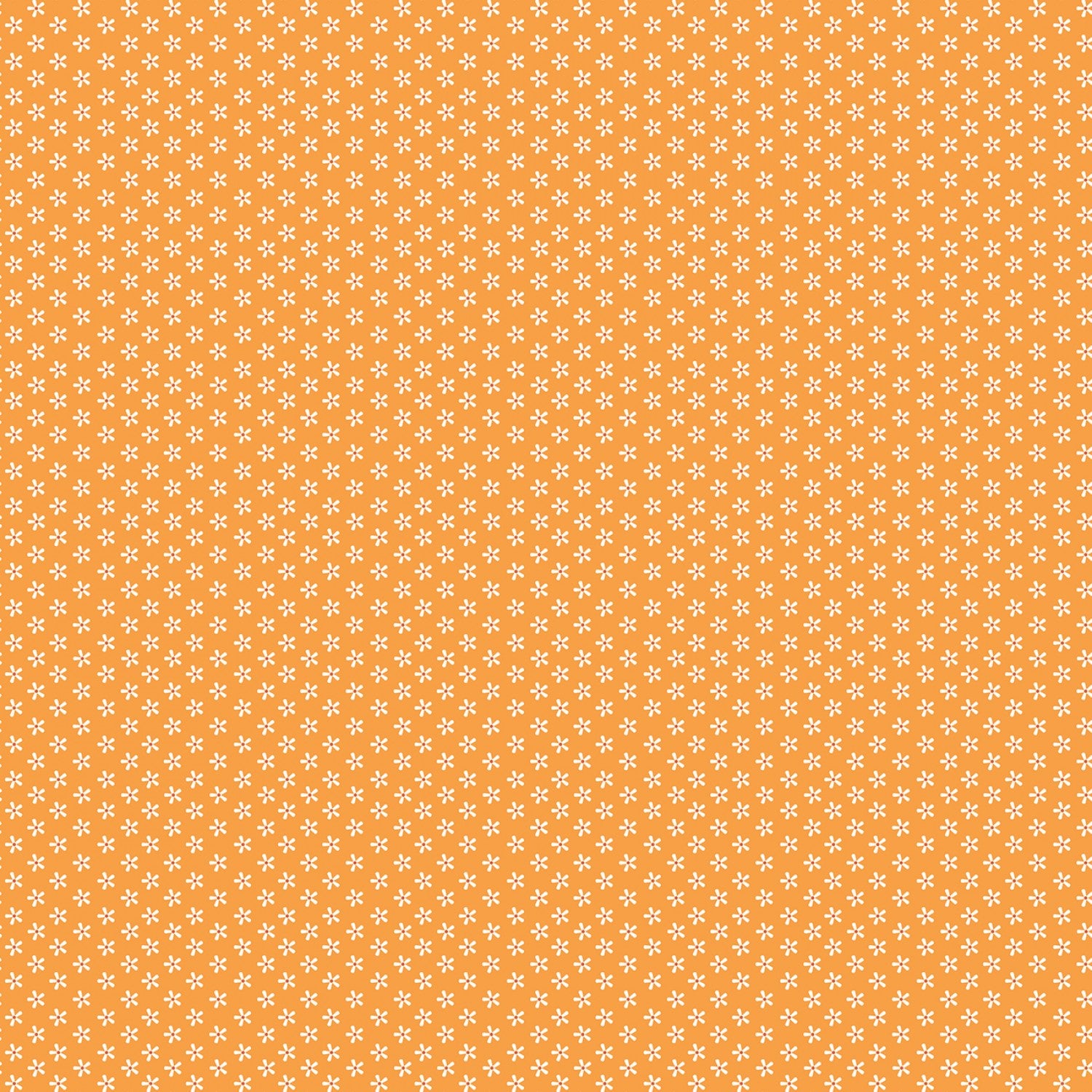 FQ Bee Basic - Macaroni - C6403