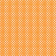 FQ Bee Basic - Macaroni - C6403