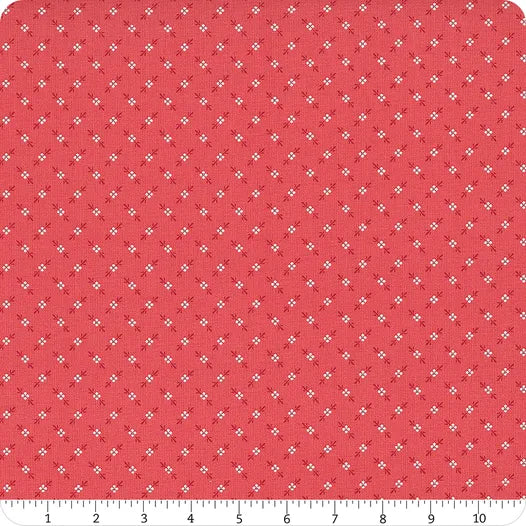 Bee Dots - Tea Rose Genoveffa - C14176