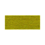 DMC Medium Light Moss Green (166)