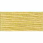 DMC Light Yellow Plum (17)