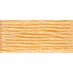 DMC Medium Light Autumn Gold (19)