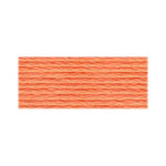 DMC Pale Pumpkin (3825)