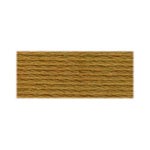 DMC Hazelnut Brown (3828)