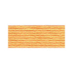 DMC Light Autumn Gold (3855)