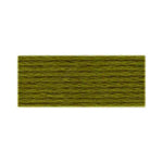 DMC Dark Moss Green (580)