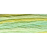 DMC Variations Pearl Cotton # 5 - Weeping Willow (4060)