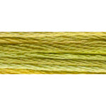 DMC Variations Pearl Cotton # 5 - Autumn Leave (4070)