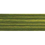 DMC Variations - Amazon Moss (4066)