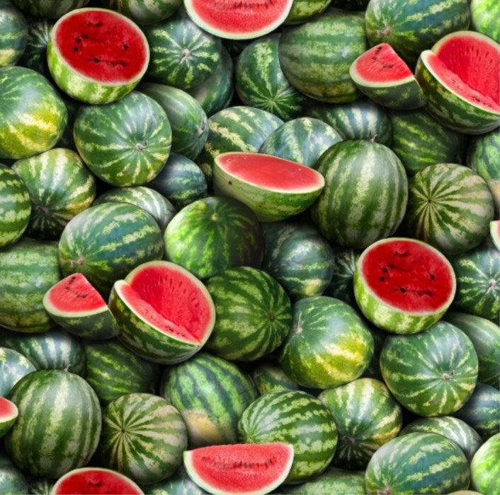Food Festival Watermelon Green - ES563-GRN
