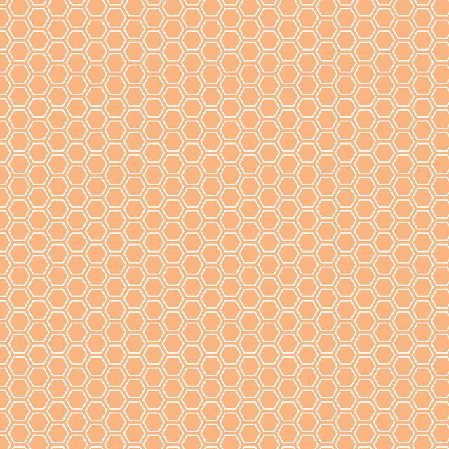 Kimberbell Basics Honeycomb Orange