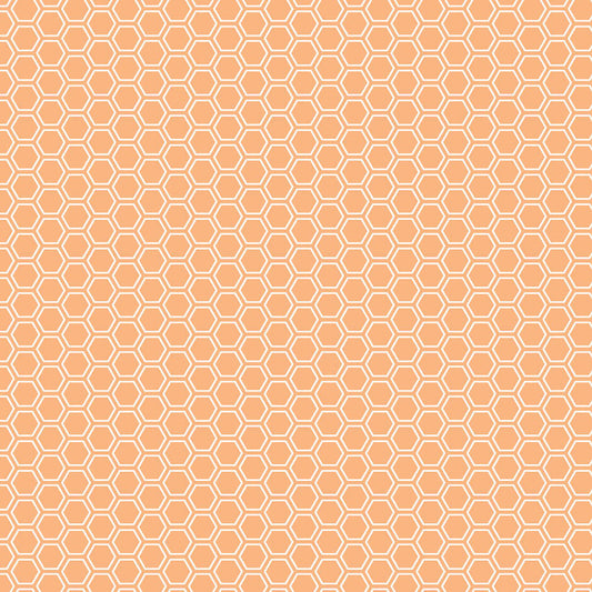 Kimberbell Basics Honeycomb Orange