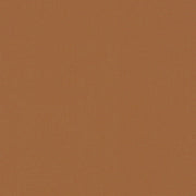 FQ Solids Ginger Cookie