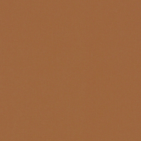 FQ Solids Ginger Cookie