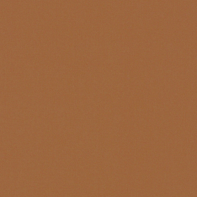 FQ Solids Ginger Cookie