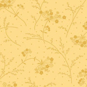 Sunshine Queen Annes Lace