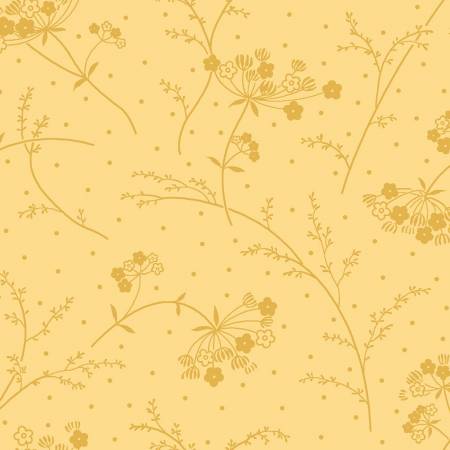 Sunshine Queen Annes Lace