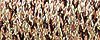 Kreinik Fine #8 Braid - Misty Gold (071)