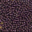 Mill Hill Beads - Glass Seed Beads - Dark Plum (02080)